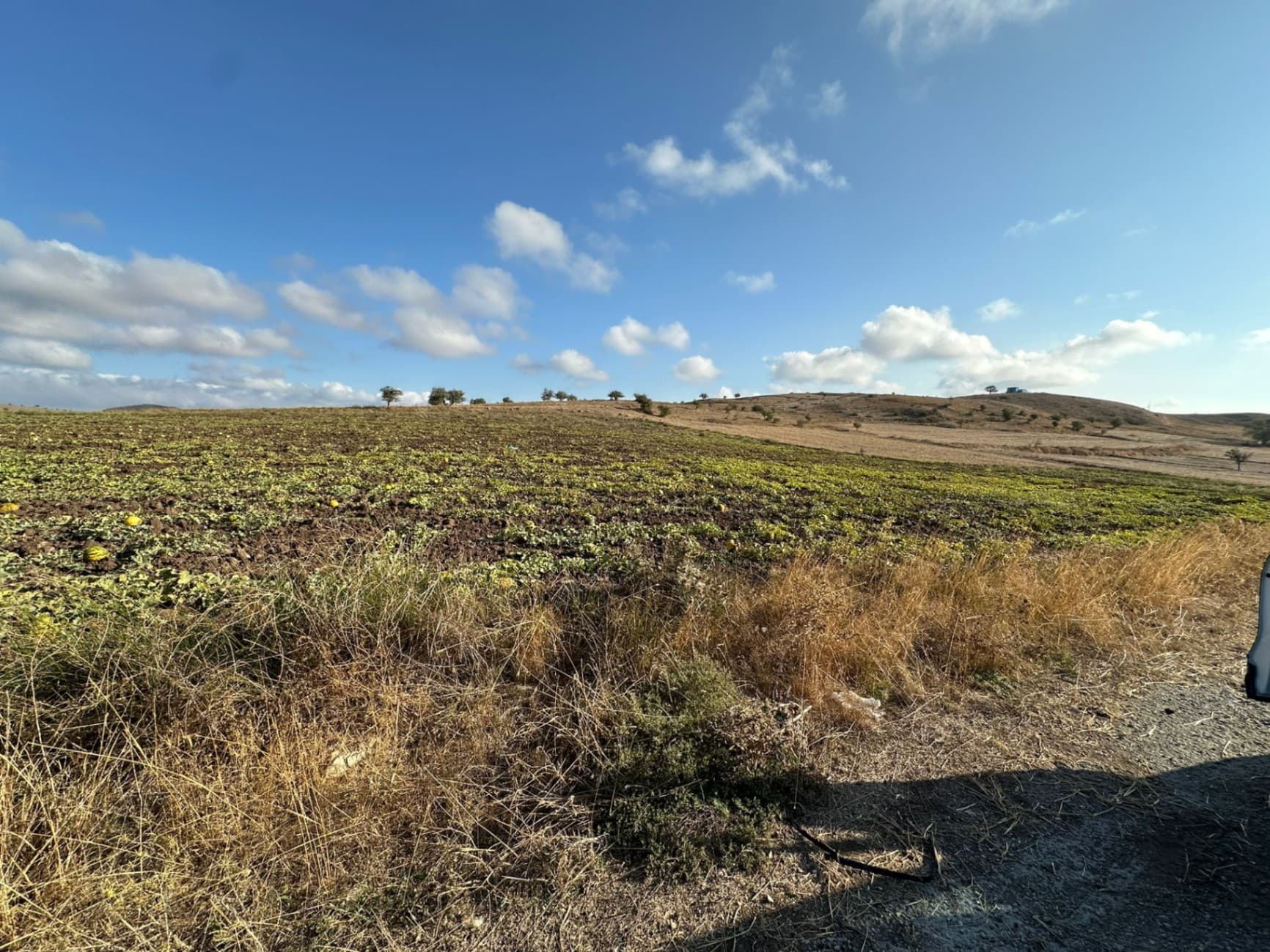 BALIKESİR KARESİ DE SANAYİ BÖLGESİNE KOMŞU 9.290 m2 TARLA